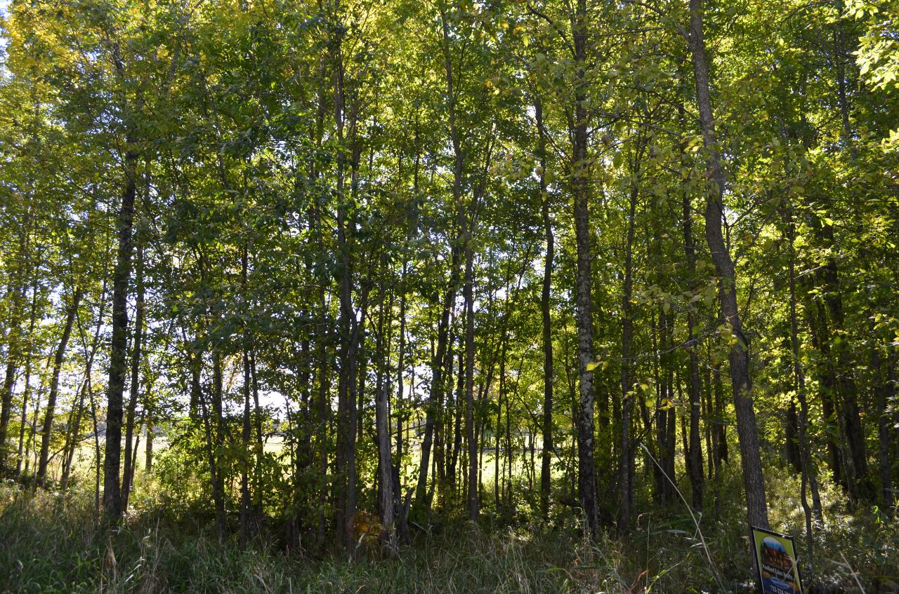 Near Harmony Road Brantwood, WI 54513 - Photo 4 of 23 Gallery Image 4