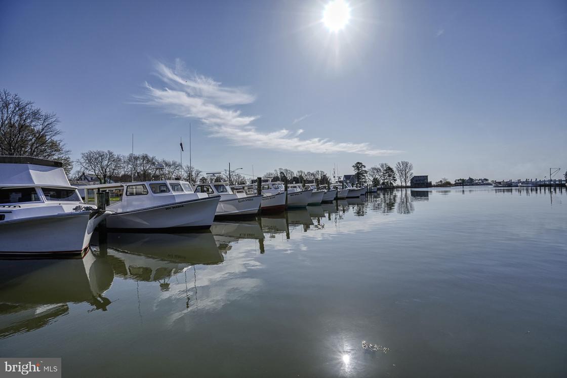 Sinclair Avenue Tilghman, MD 21671 - Photo 8 of 10 a view of a lake