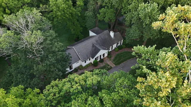 a picture of trees and flowers
