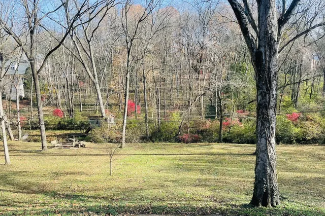 a view of fountain with tall trees