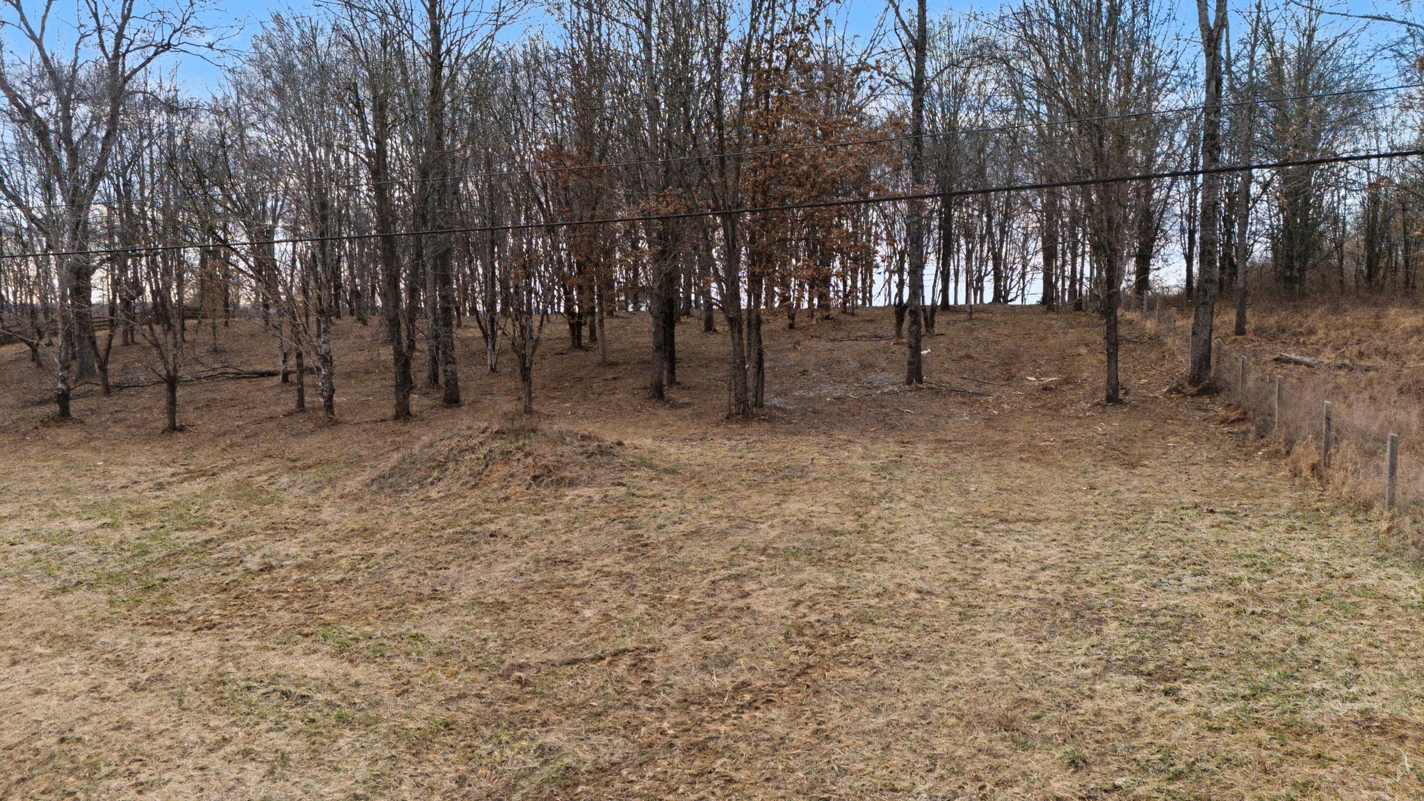 6570 Cairo Bend Road Lebanon, TN 37087 - Photo 4 of 11 Gallery Image 4