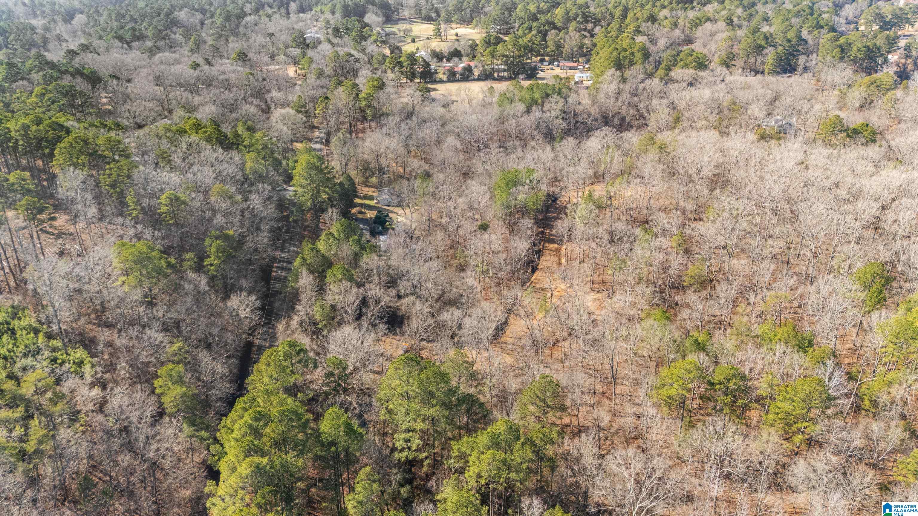 7019 Groundhog Road, Unit 1 Morris, AL 35116 - Photo 5 of 22
