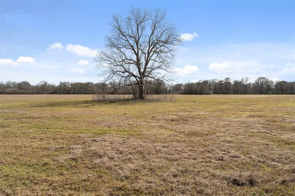$717,000 | 4 Cr 117 Hungerford Tx 77448, Wharton, TX 77488