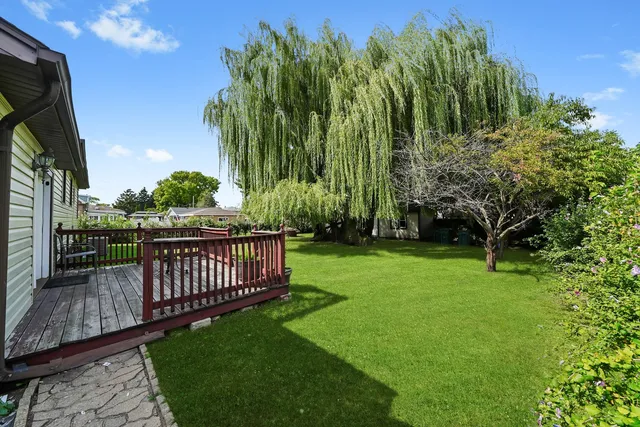 a view of a garden with a slide