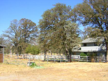 24333 Racoon Way Oak Run, CA 96069 - Photo 8 of 18 Pasture 2