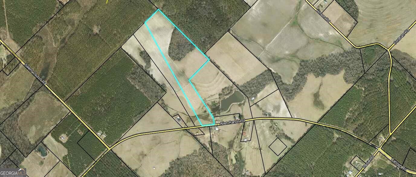 0 Allen Ranch Road Chester, GA 31012 - Photo 1 of 6