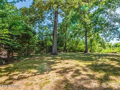 1339 Flatwood Road Sevierville, TN 37862 - Photo 4 of 26 a view of a yard with a tree