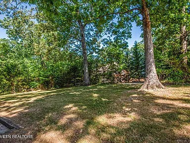 1339 Flatwood Road Sevierville, TN 37862 - Photo 5 of 26 a yard with trees in the background