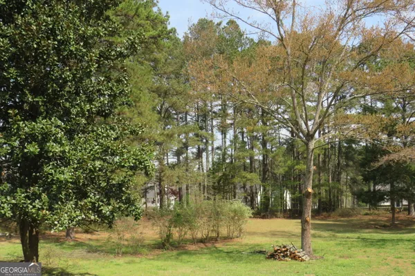 $2,300 | 1105 Hampton Road, Hampton, GA 30228