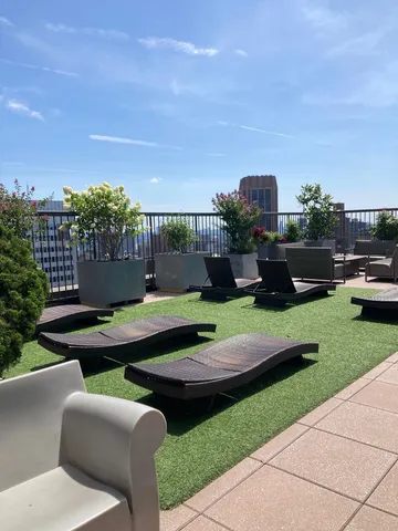 a view of a backyard with plants and a patio