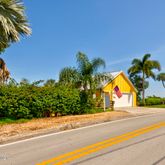 a view of palm trees and a small yard