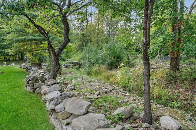 a view of a back yard of the house