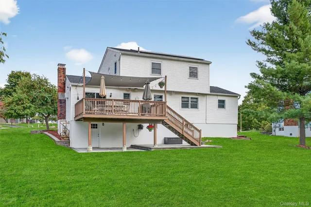 a view of a forest filled with trees