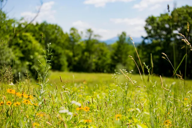 $429,000 | 3702 Mt Philo Road, Unit 12, Charlotte, VT 05445