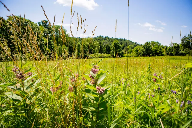 $429,000 | 3702 Mt Philo Road, Unit 12, Charlotte, VT 05445