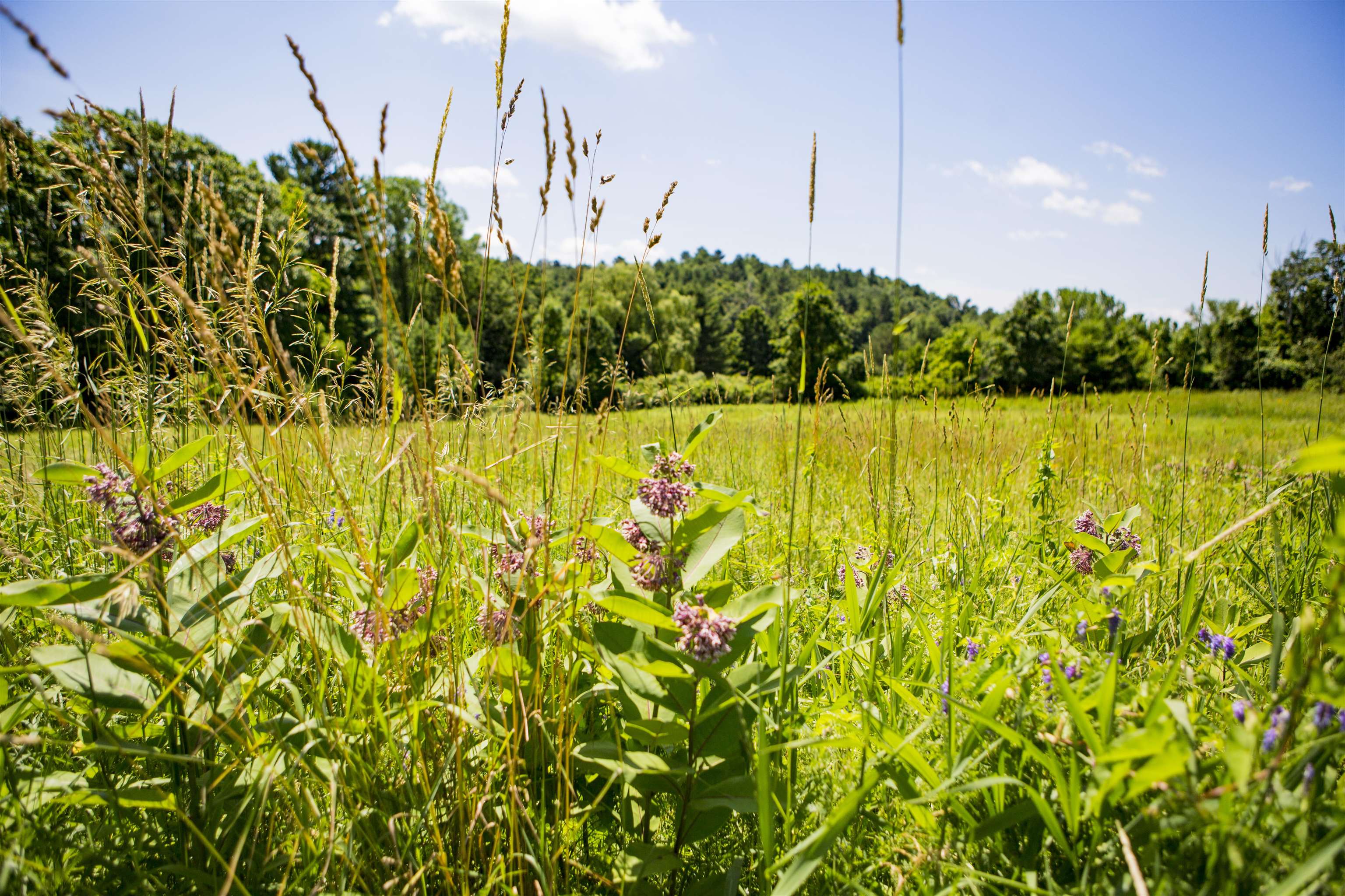 3702 Mt Philo Road, Unit 12 Charlotte, VT 05445 - Photo 14 of 22