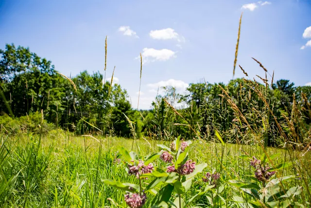 $429,000 | 3702 Mt Philo Road, Unit 12, Charlotte, VT 05445