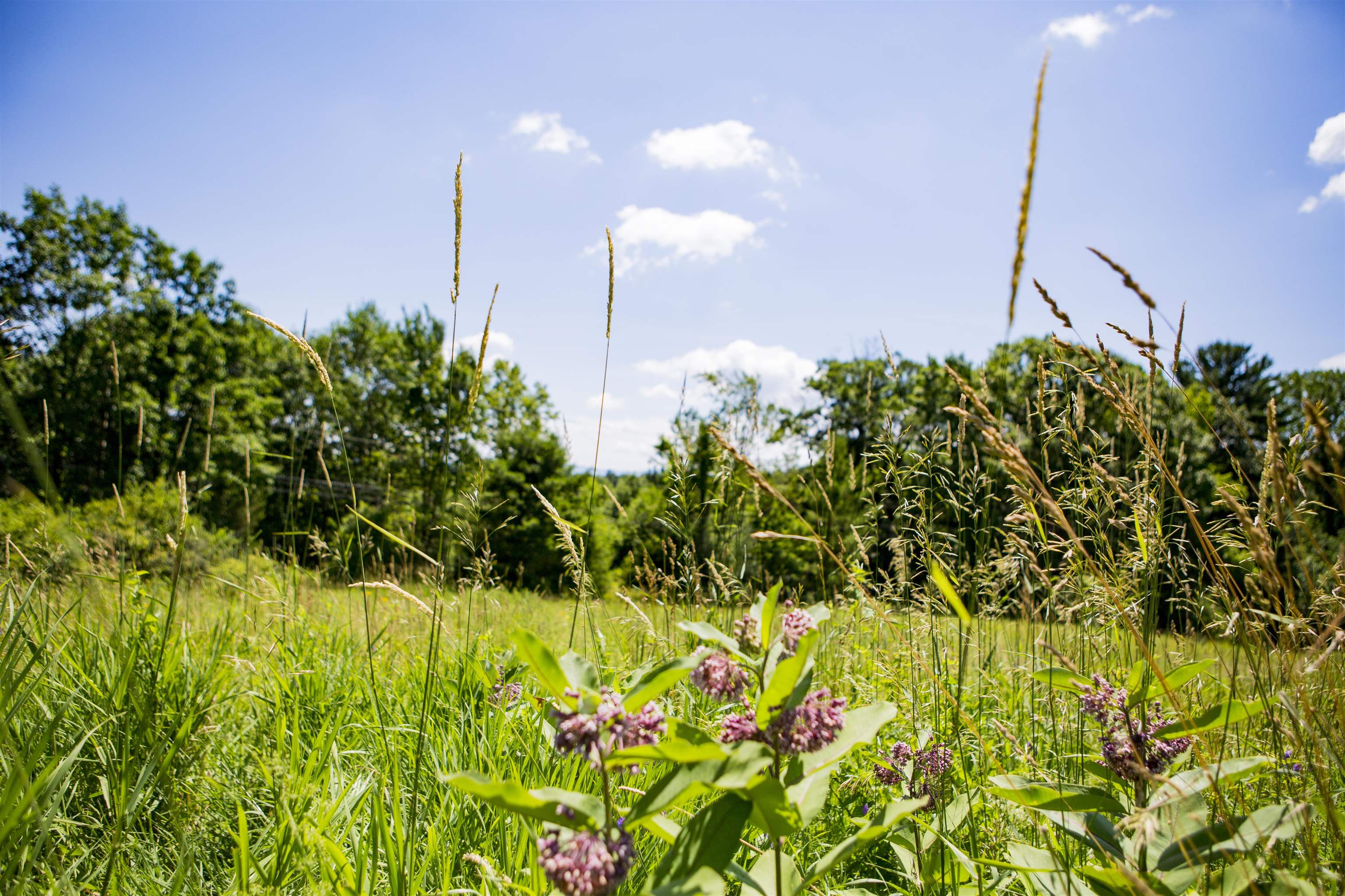 3702 Mt Philo Road, Unit 12 Charlotte, VT 05445 - Photo 15 of 22