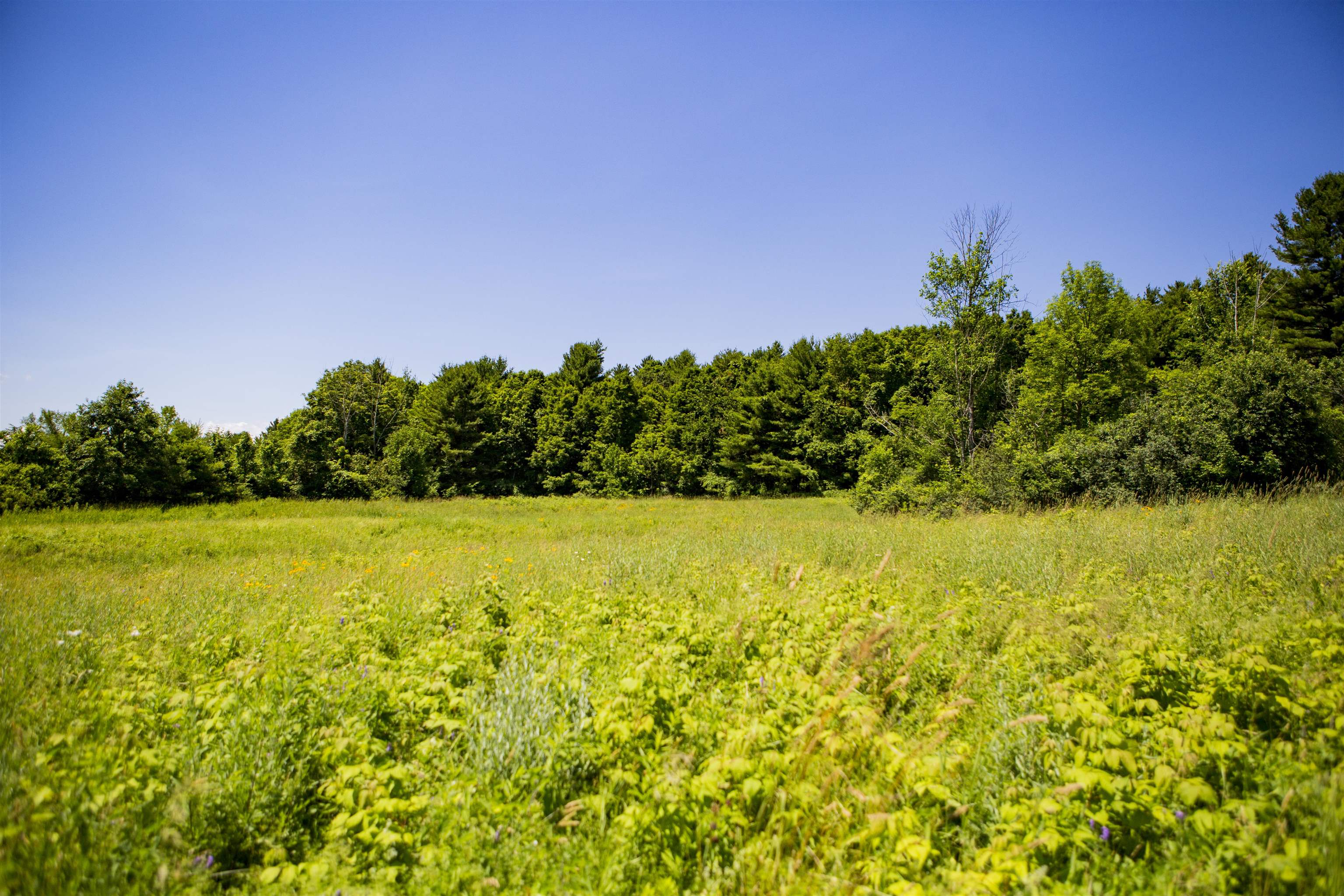 3702 Mt Philo Road, Unit 12 Charlotte, VT 05445 - Photo 19 of 22