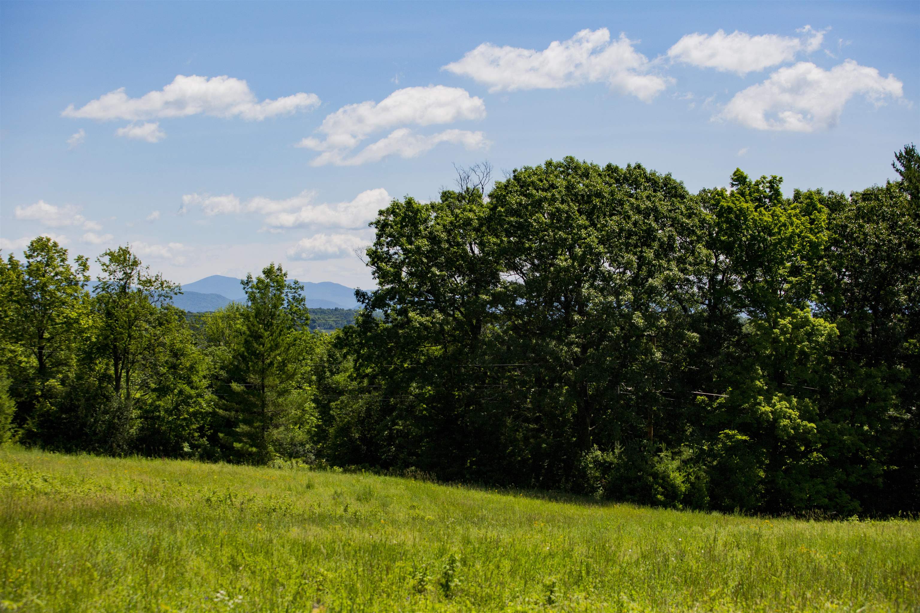 3702 Mt Philo Road, Unit 12 Charlotte, VT 05445 - Photo 20 of 22
