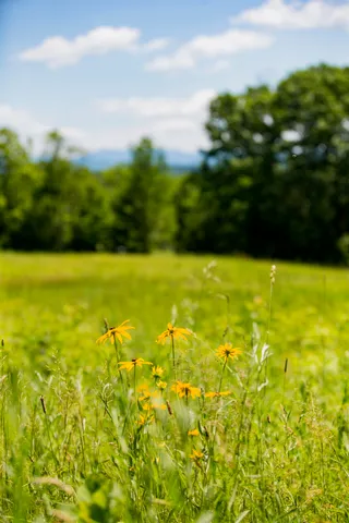 $429,000 | 3702 Mt Philo Road, Unit 12, Charlotte, VT 05445