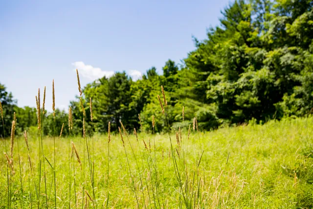 $429,000 | 3702 Mt Philo Road, Unit 12, Charlotte, VT 05445