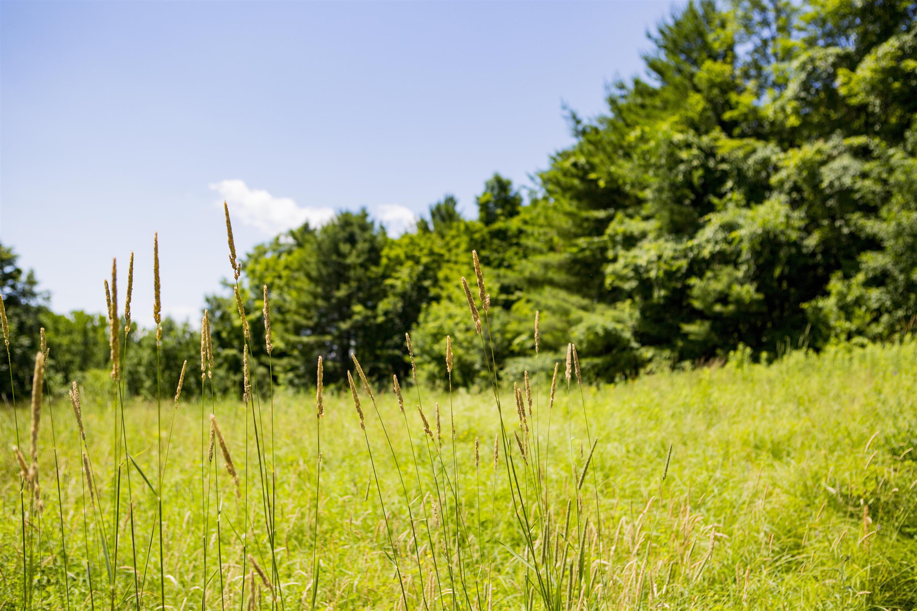 3702 Mt Philo Road, Unit 12 Charlotte, VT 05445 - Photo 22 of 22