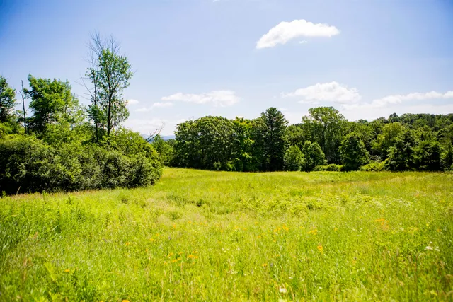 $429,000 | 3702 Mt Philo Road, Unit 12, Charlotte, VT 05445