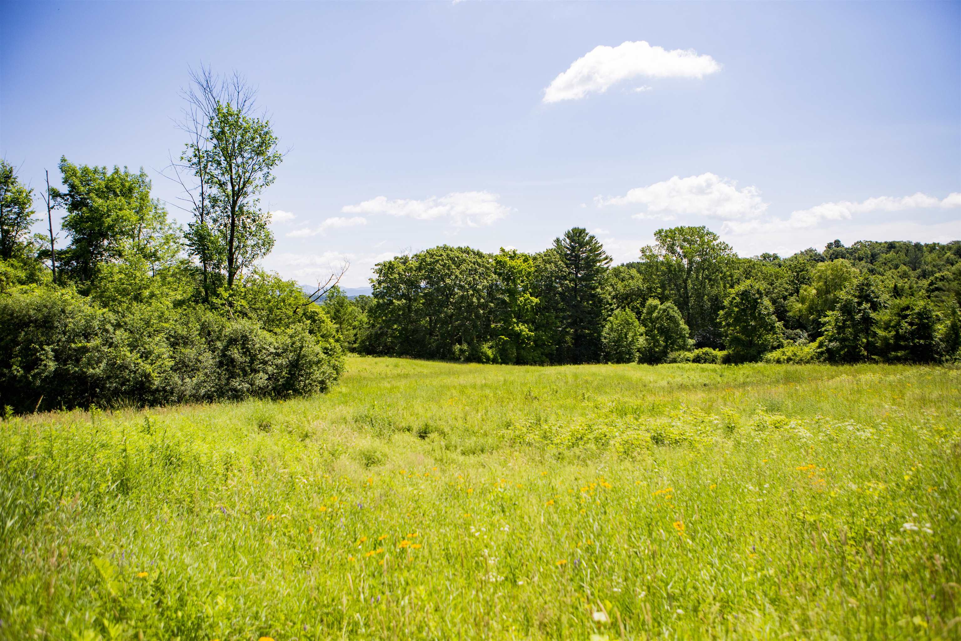 3702 Mt Philo Road, Unit 12 Charlotte, VT 05445 - Photo 8 of 22