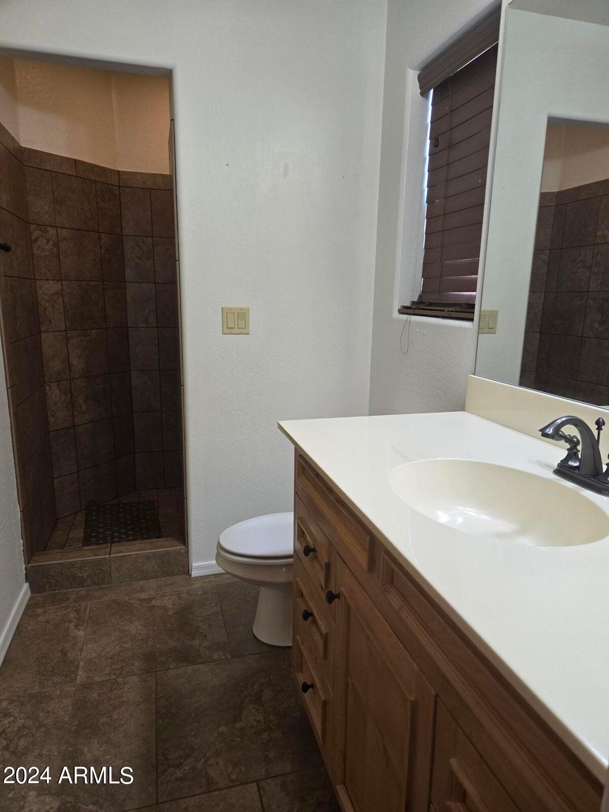 315 South Golden Bear Point Payson, AZ 85541 - Photo 8 of 29 a bathroom with a sink a toilet a mirror and shower