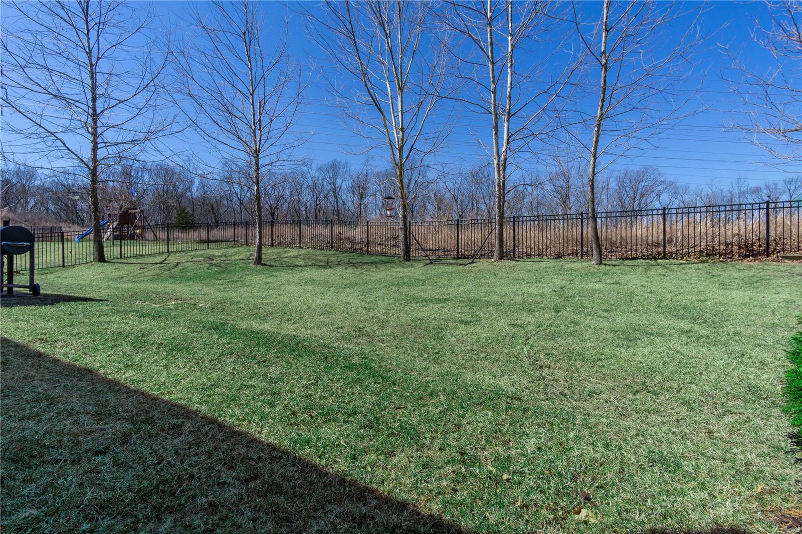 1311 Spring Lilly Drive High Ridge, MO 63049 - Photo 34 of 38