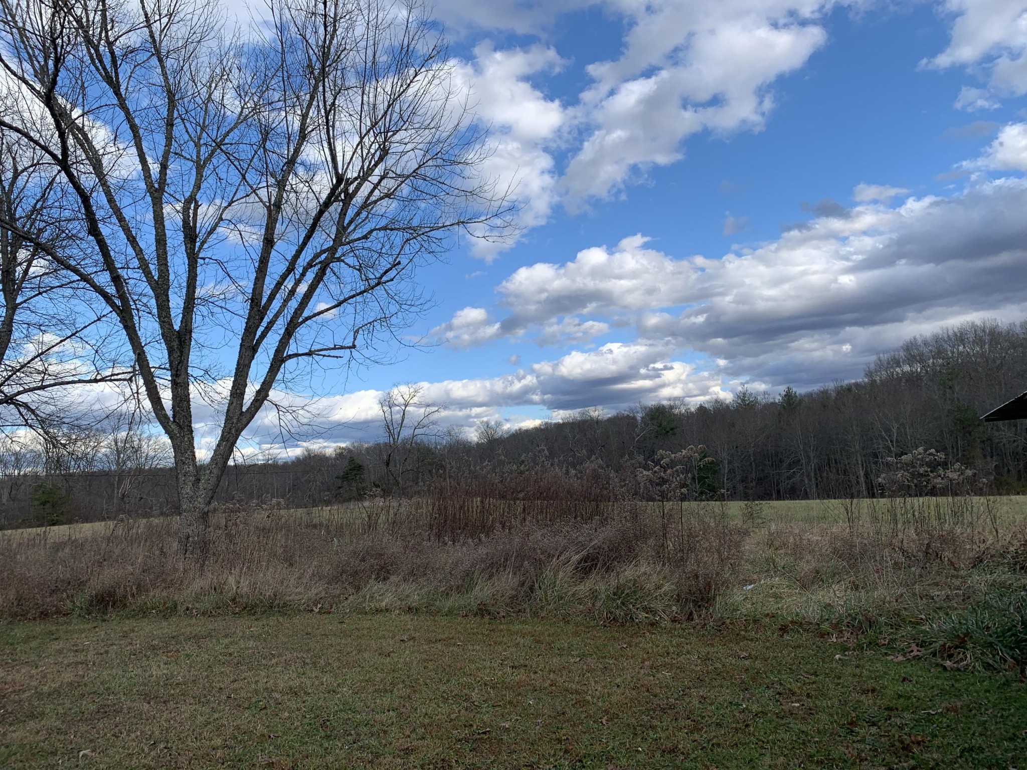 171 Jim McGill Road Deer Lodge, TN 37726 - Photo 9 of 36