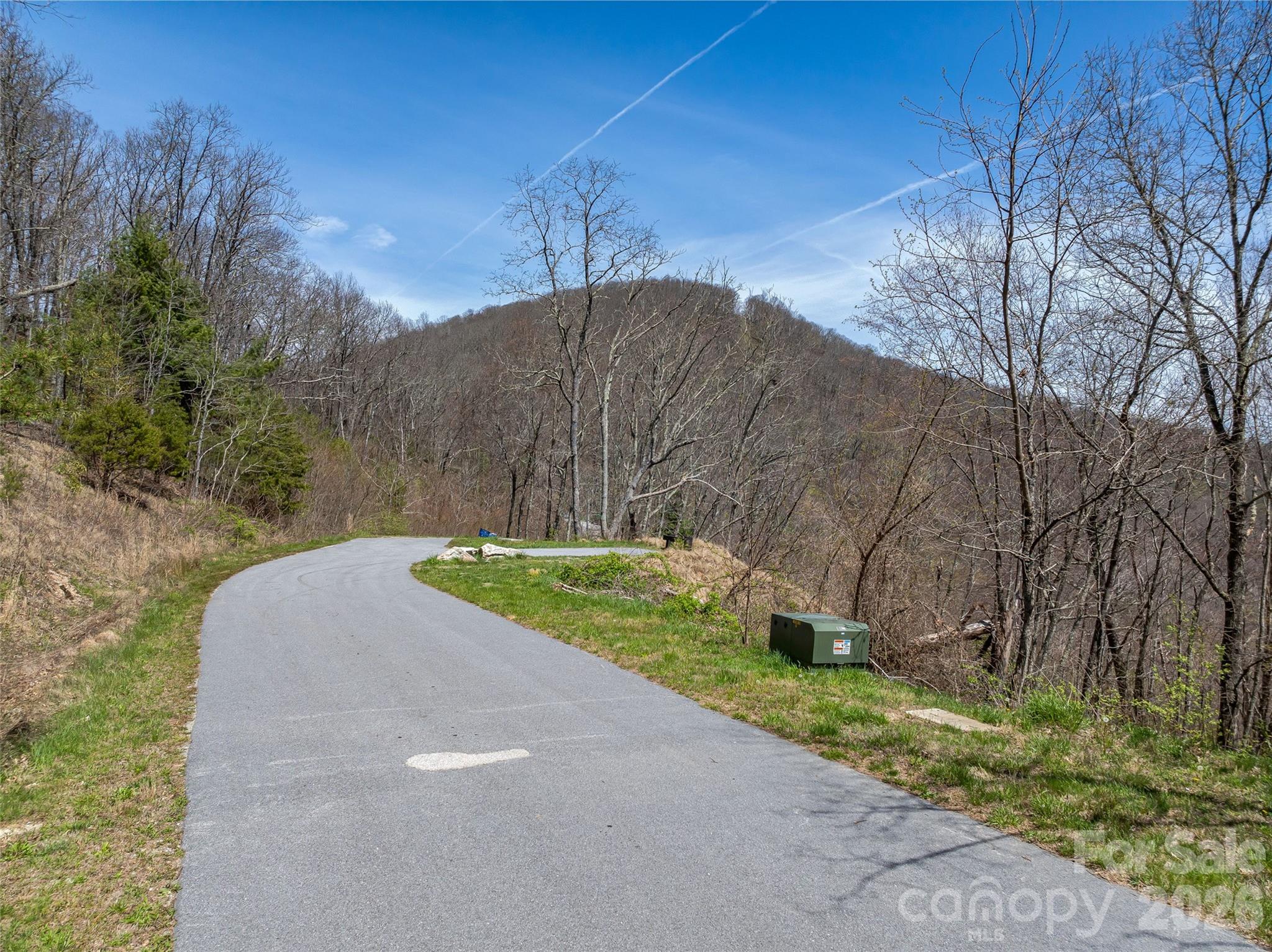 370 Autumn Ridge Lane, Unit 75 Hendersonville, NC 28792 - Photo 18 of 27