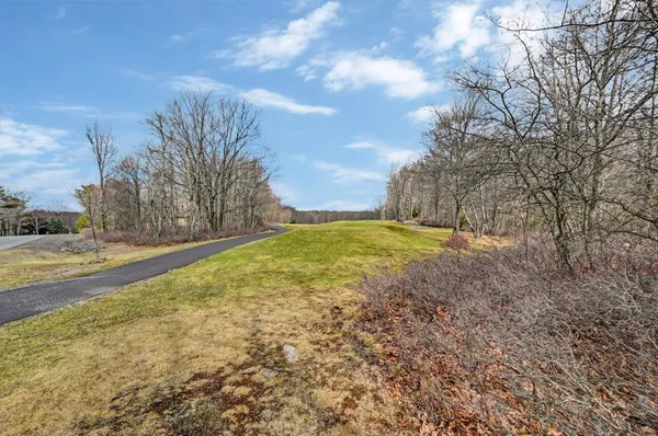 a view of yard with large trees