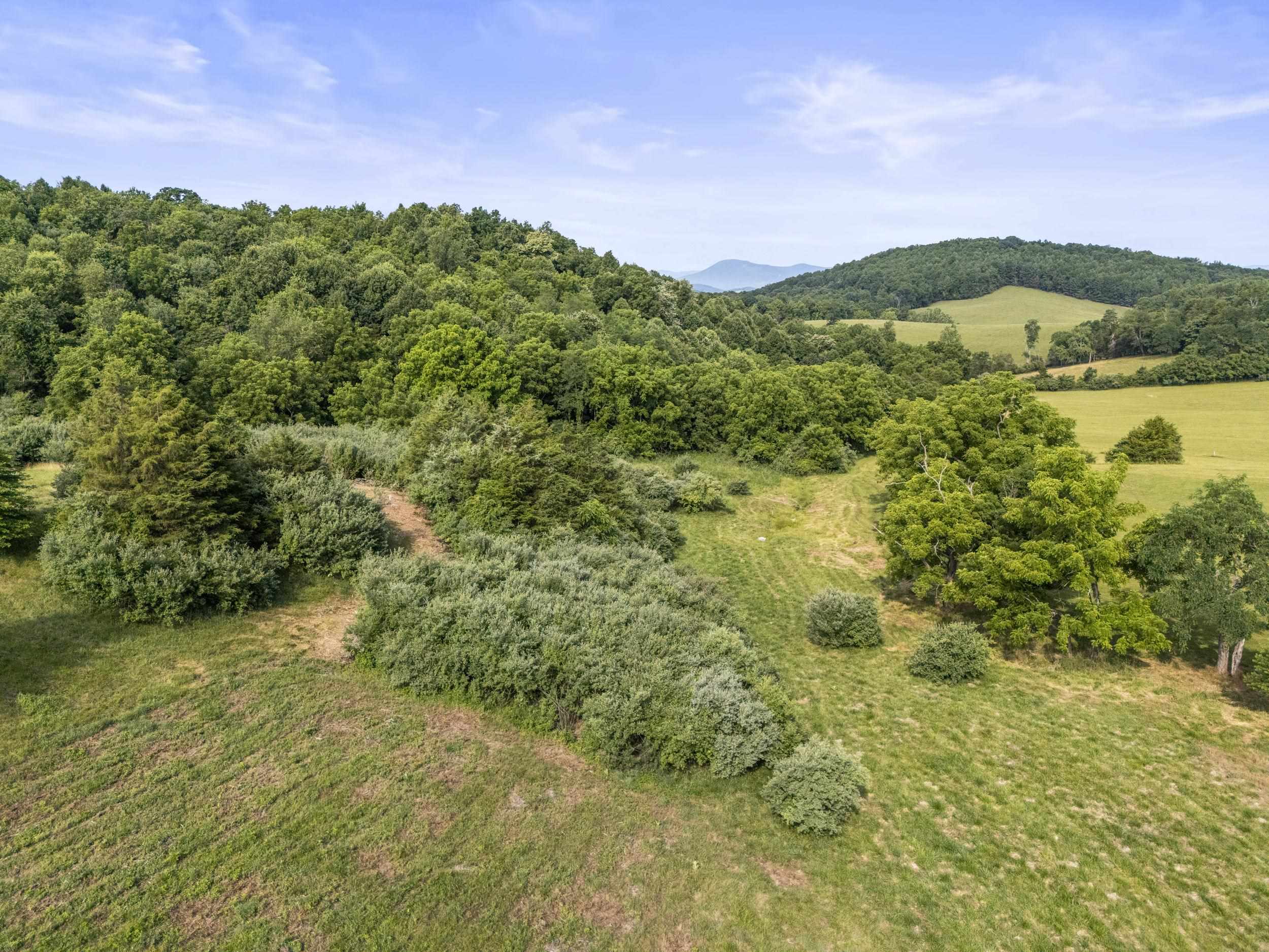 Lot 22 Koogler Trail Raphine, VA 24472 - Photo 3 of 5