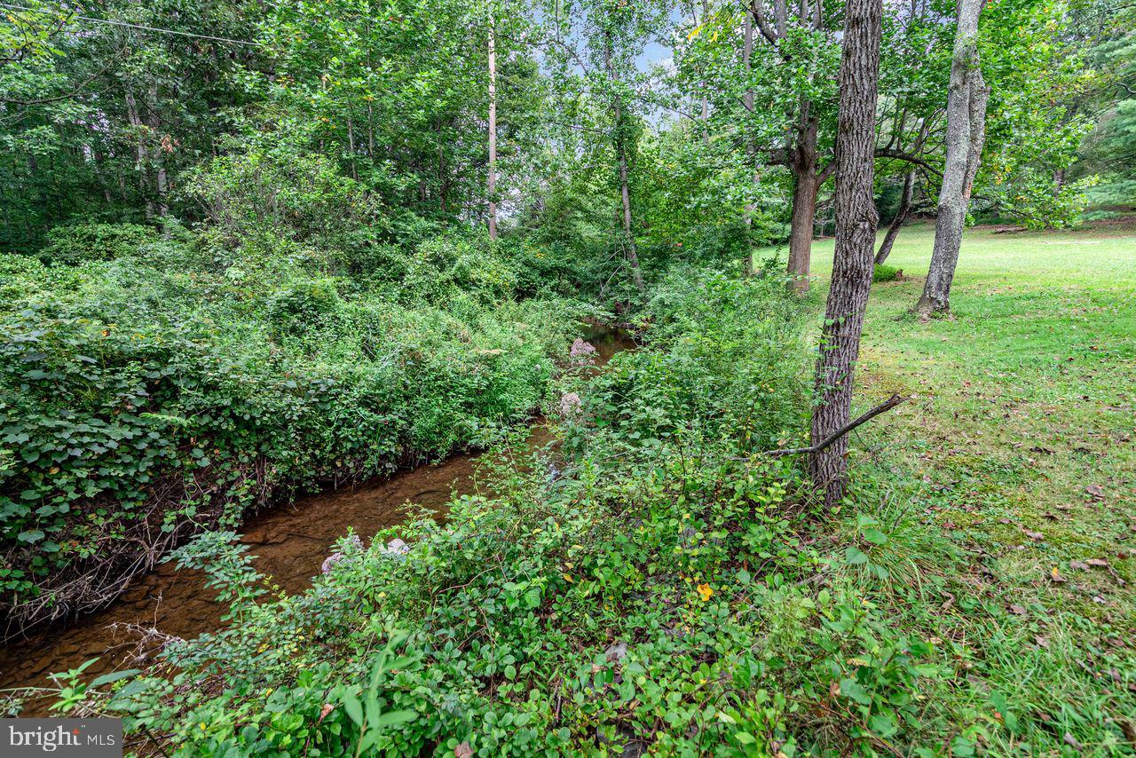 6957 Fishing Creek Valley Road Harrisburg, PA 17112 - Photo 13 of 21 a view of a lush green forest