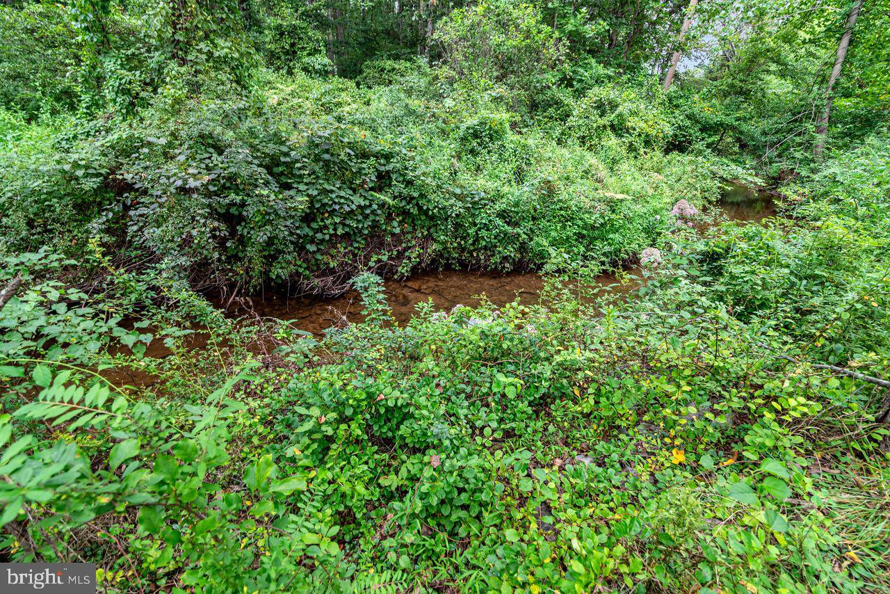 6957 Fishing Creek Valley Road Harrisburg, PA 17112 - Photo 14 of 21 a view of a garden