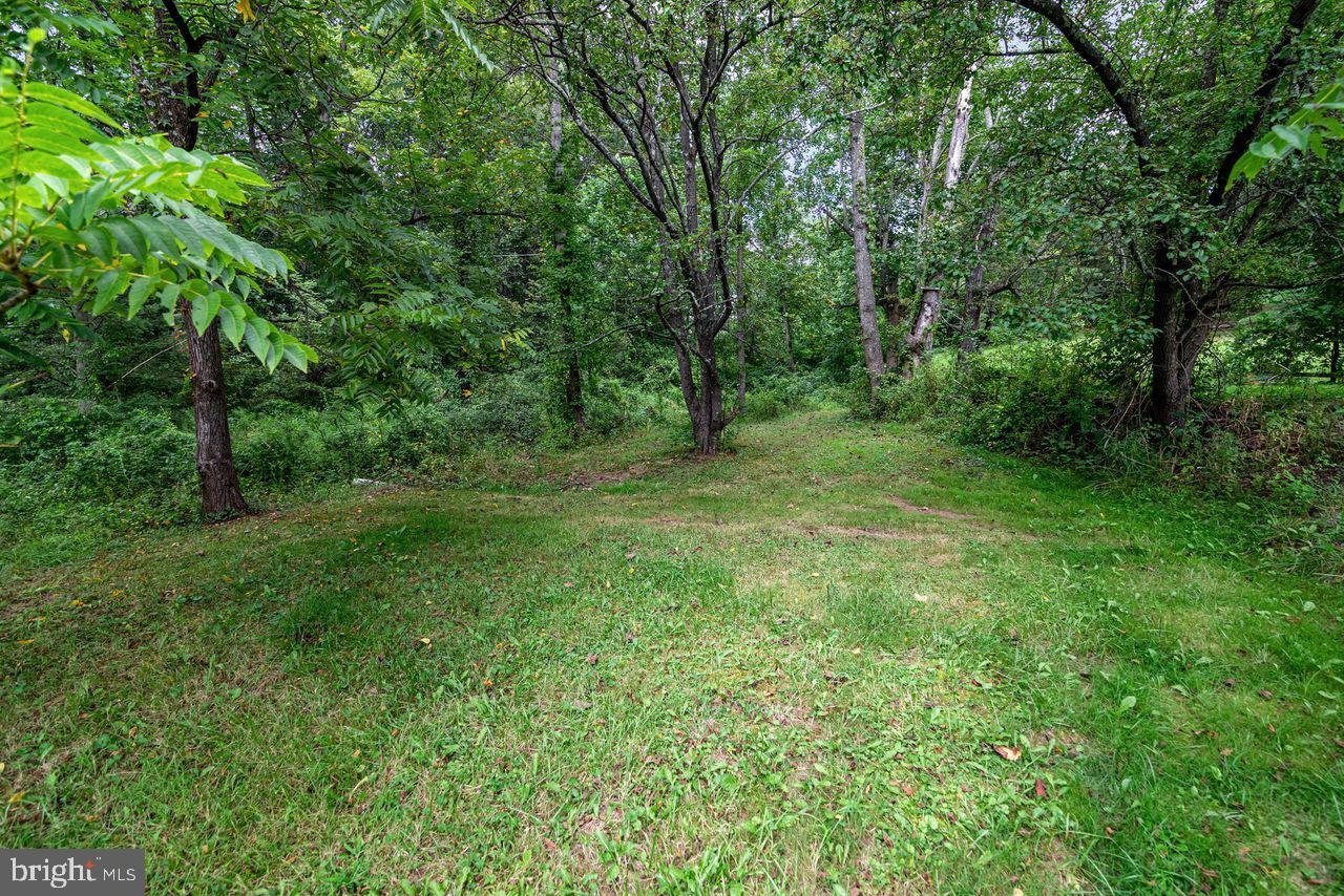 6957 Fishing Creek Valley Road Harrisburg, PA 17112 - Photo 15 of 21 a big yard with lots of green space and deers
