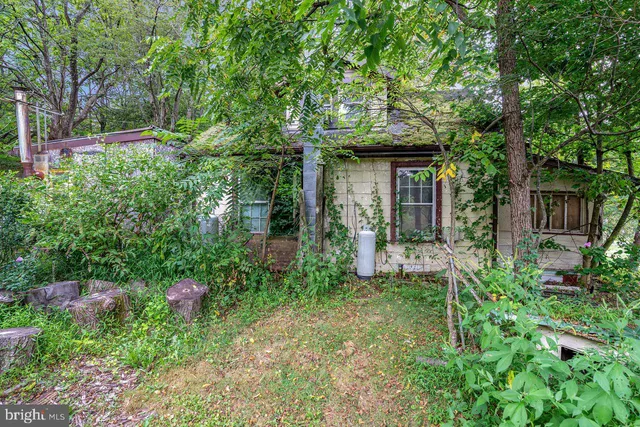 a backyard of a house with plants and large trees