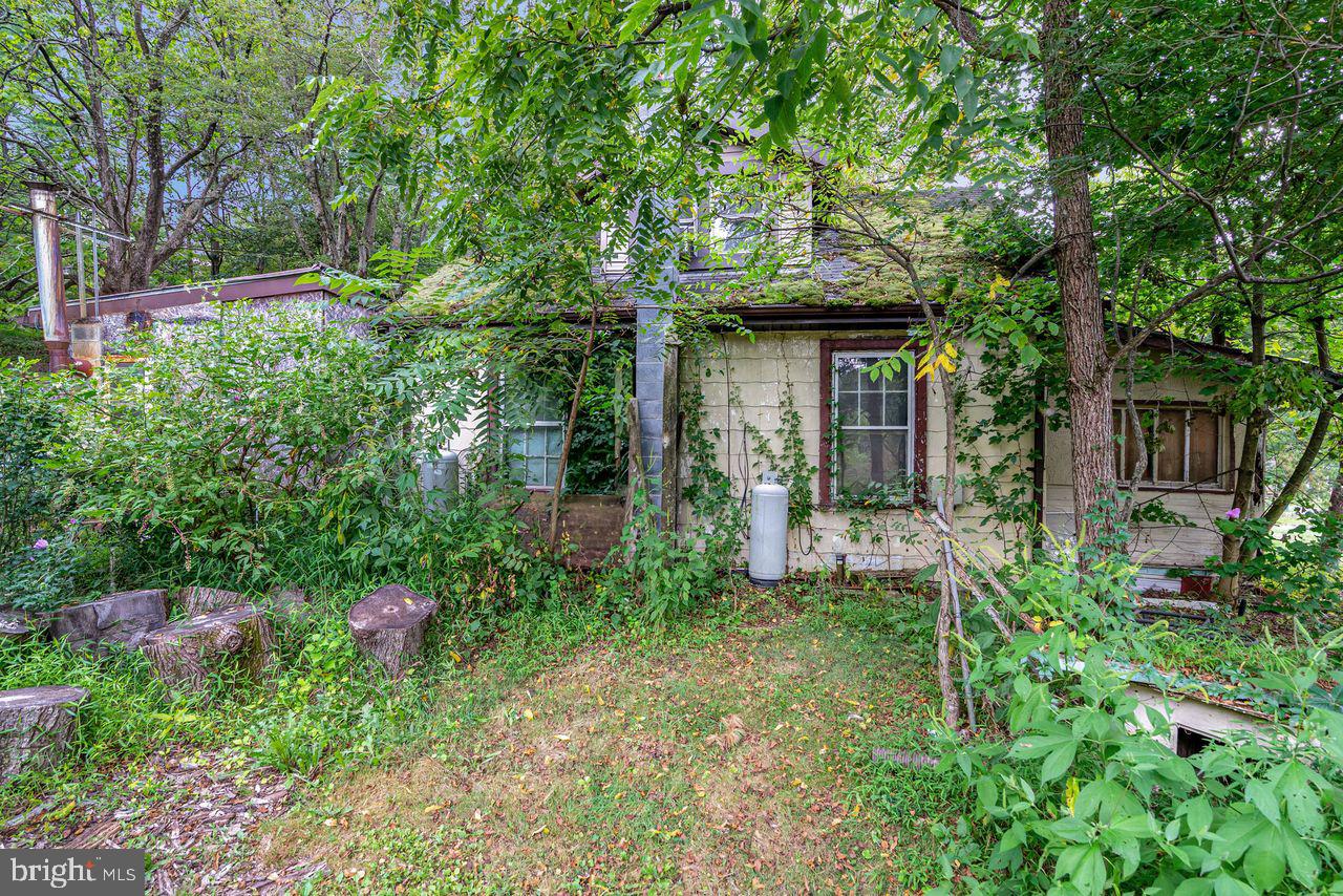6957 Fishing Creek Valley Road Harrisburg, PA 17112 - Photo 2 of 21 a backyard of a house with plants and large trees