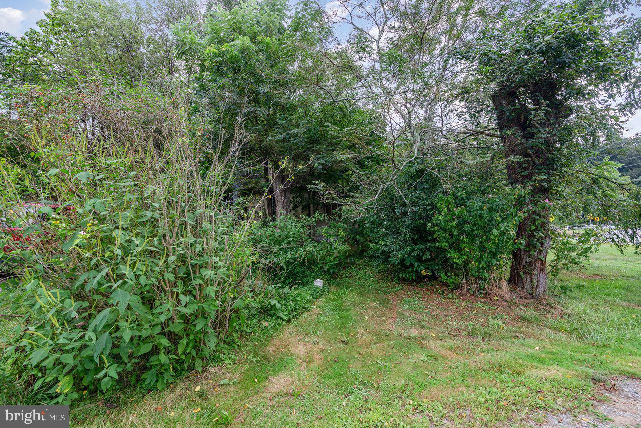 6957 Fishing Creek Valley Road Harrisburg, PA 17112 - Photo 21 of 21 a view of a lush green forest