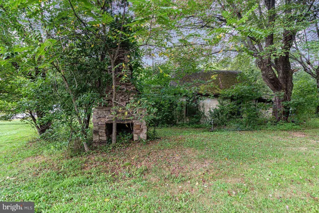 a view of an outdoor space and a yard