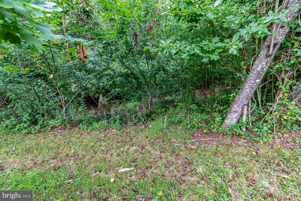 6957 Fishing Creek Valley Road Harrisburg, PA 17112 - Photo 8 of 21 a view of a garden