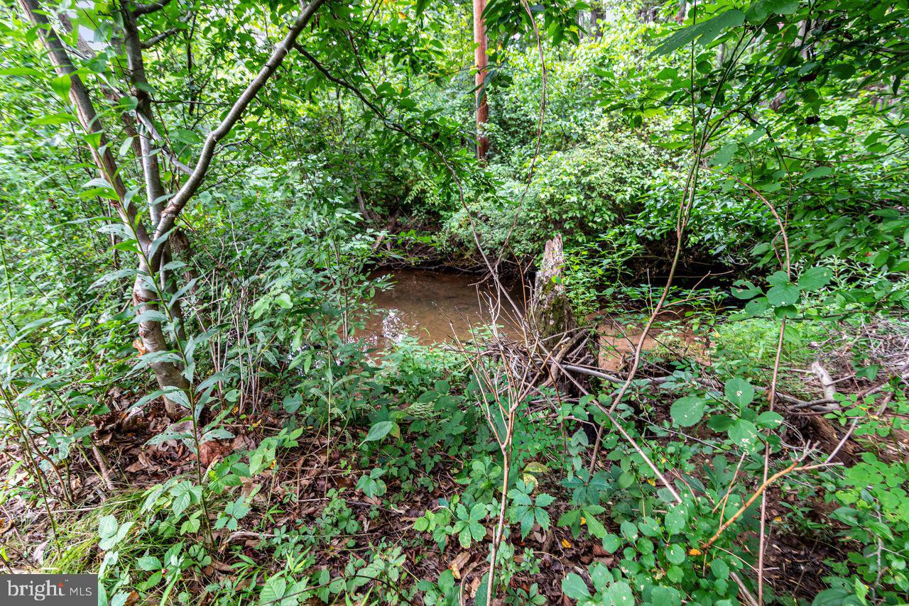 6957 Fishing Creek Valley Road Harrisburg, PA 17112 - Photo 9 of 21 a view of a garden with a tree