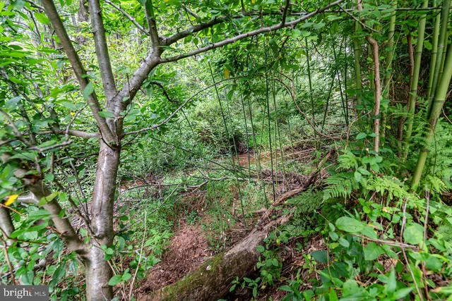 an aerial view of residential house with outdoor space and trees all around
