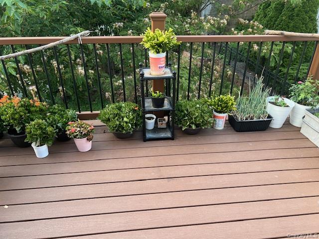 225 Thompson Shore Road, Unit 2F Manhasset, NY 11030 - Photo 8 of 15 a view of a garden with potted plants