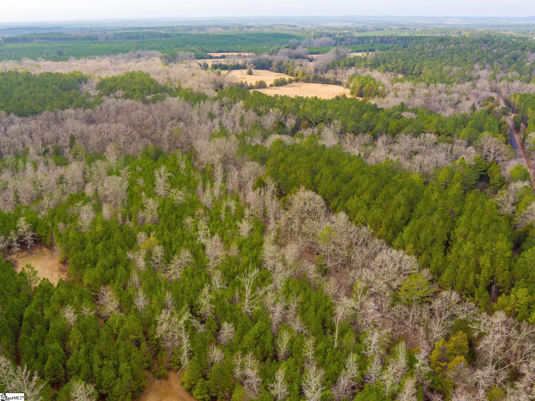 Cox Road Troy, SC 29848 - Photo 11 of 17