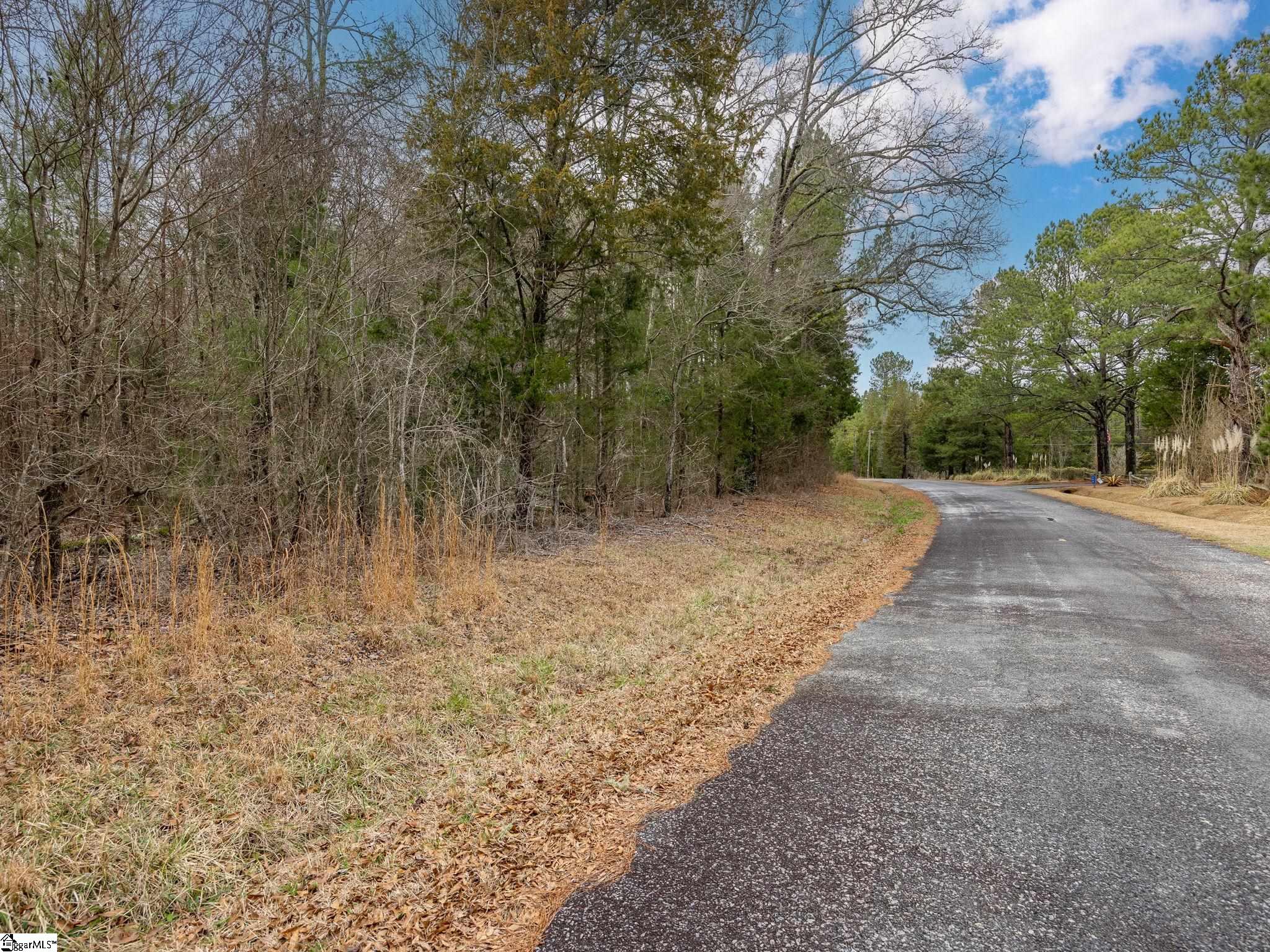 Cox Road Troy, SC 29848 - Photo 2 of 17