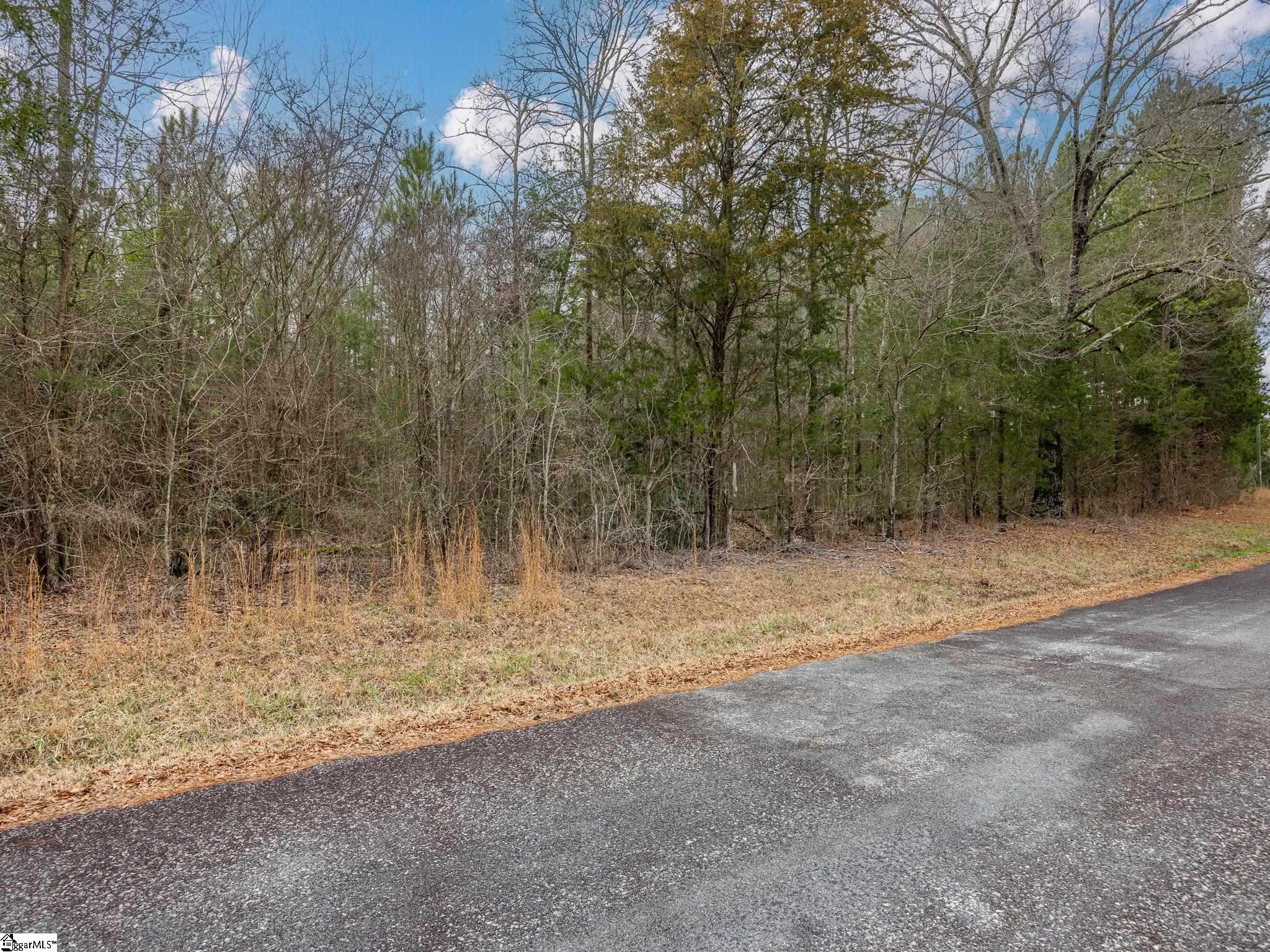 Cox Road Troy, SC 29848 - Photo 4 of 17