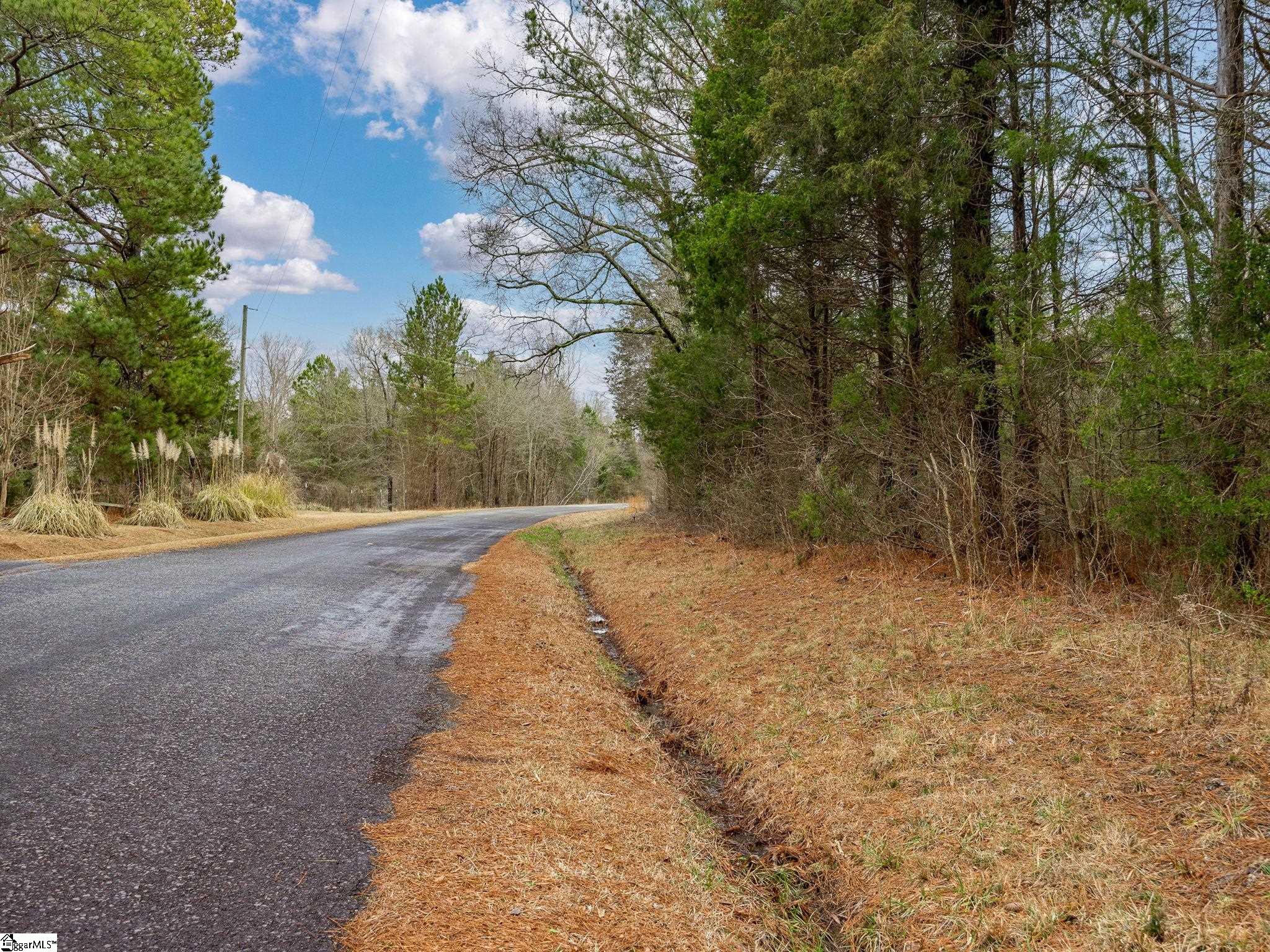Cox Road Troy, SC 29848 - Photo 5 of 17
